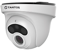 TSi-EB221F (3.6) Видеокамера уличная купольная антивандальная с ИК подсветкой, двух мегапиксельная